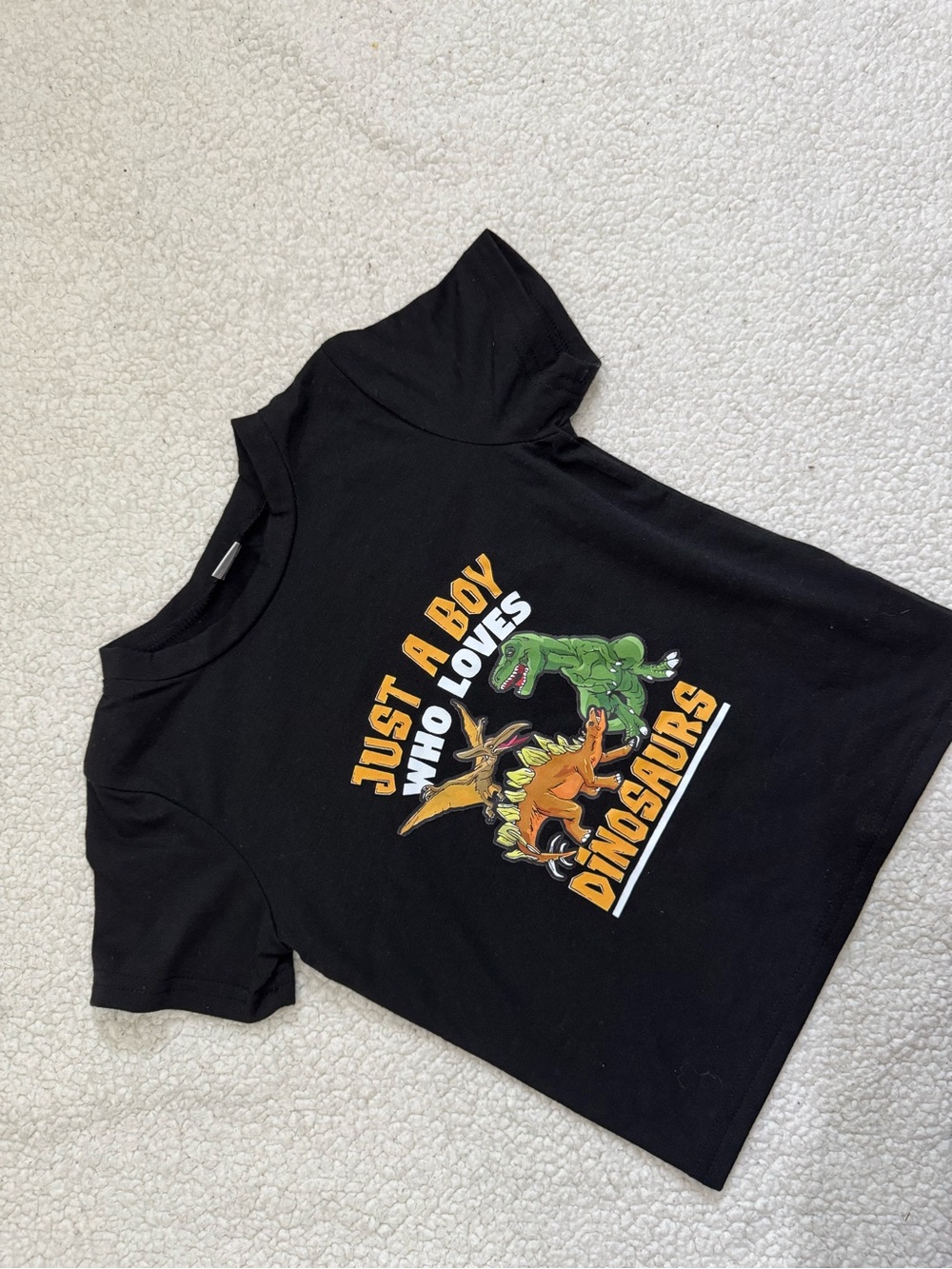 Kids Black Dinosaurs Graphic Tee - Just a Boy Who Loves Dinosaurs